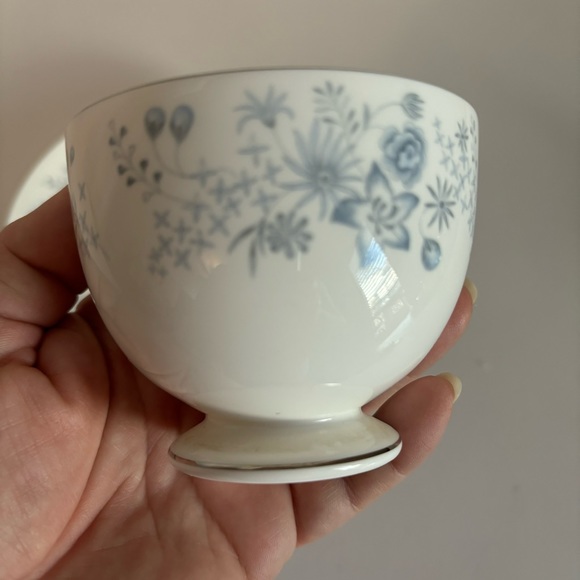 Wedgwood Cup Saucer Set Belle Fleur Footed Blue Flowers Platinum Rim Bone China - Picture 6 of 7